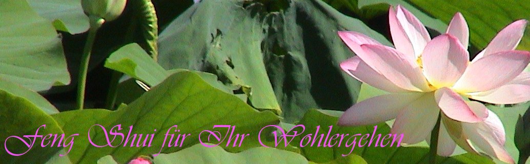 Schoening Feng Shui Wohlergehen